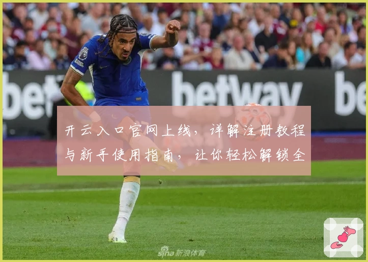 开云入口官网上线，详解注册教程与新手使用指南，让你轻松解锁全新功能体验