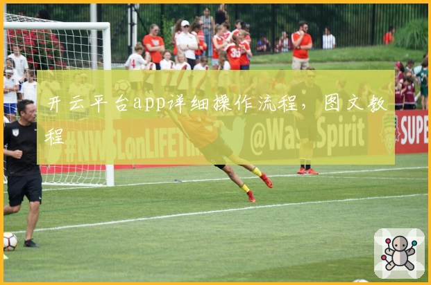 开云平台app详细操作流程，图文教程