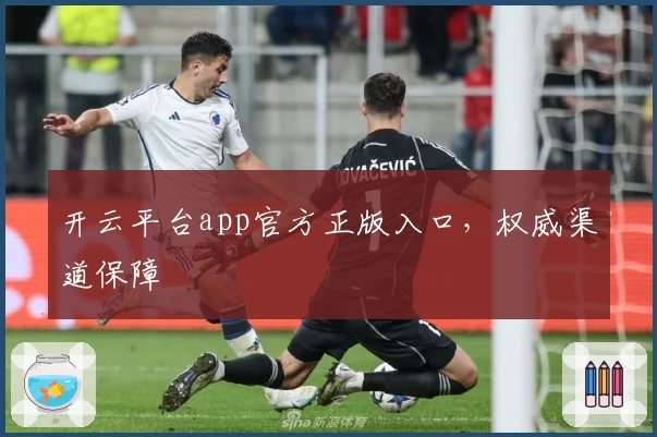 开云平台app官方正版入口,权威渠道保障