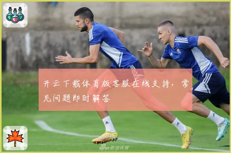 开云下载体育版客服在线支持，常见问题即时解答