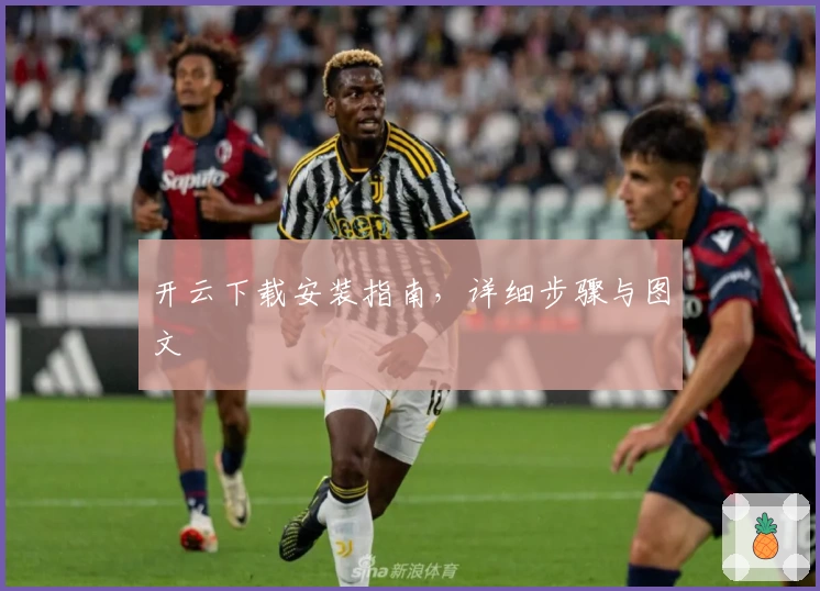 开云下载安装指南，详细步骤与图文