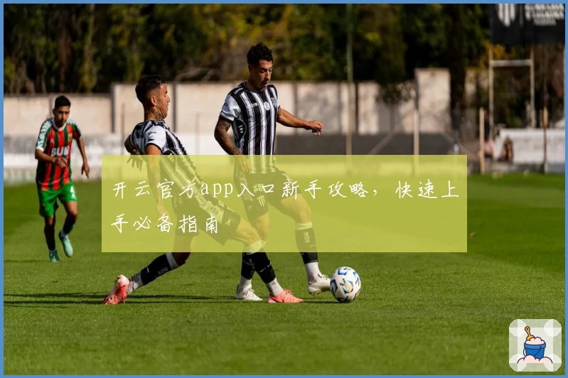 开云官方app入口新手攻略,快速上手必备指南