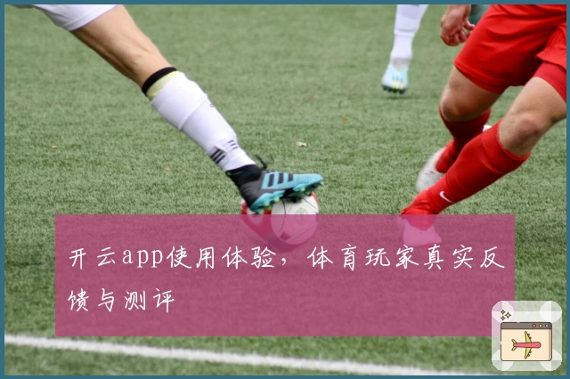 开云app使用体验，体育玩家真实反馈与测评